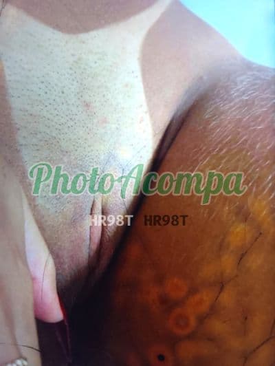 Foto 4: Acompanhante em Porto Alegre — experiência de namorada, Alícia