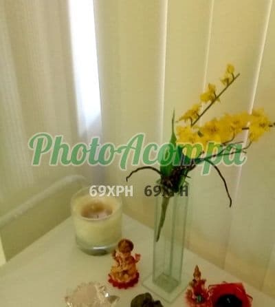 Acompanhante foto verificada em Novo Hamburgo, foto 3 de Amanda