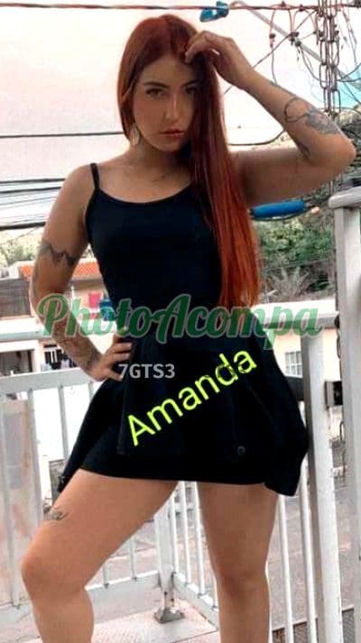Acompanhante peituda em Balneário Camboriú — Amanda, foto 3