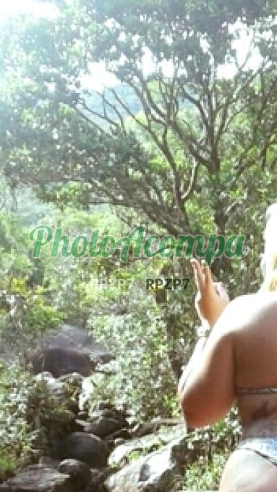 Acompanhante gordinha em Palhoça — Amanda, foto 3