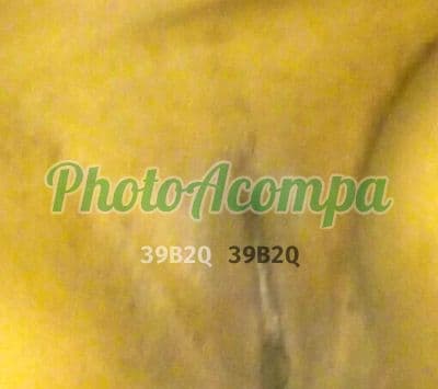 Acompanhante em São Paulo com anal (4) — Ana