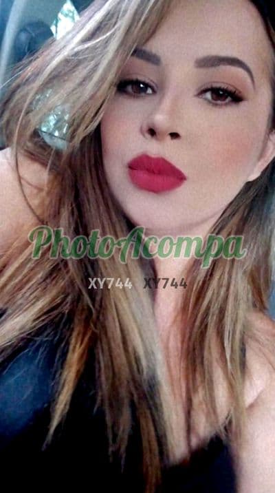 Acompanhante em São Paulo — cinta caralho, foto 6 de Anny