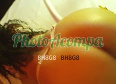 Acompanhante em Araxá com experiência de namorada (2) — Bia
