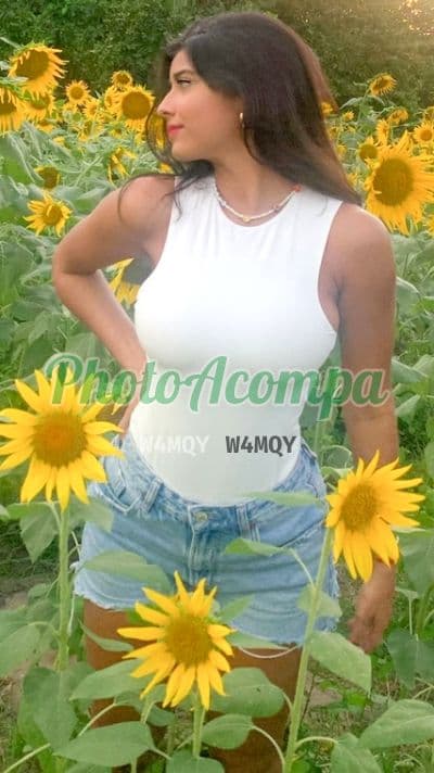 Acompanhante morena em São Paulo — Carmen, foto 5