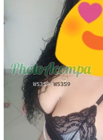 Acompanhante morena em Belo Horizonte (3) — Carol