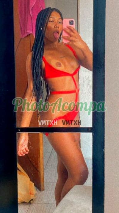 Foto 3: Acompanhante mignon em Rio de Janeiro — Clarisse