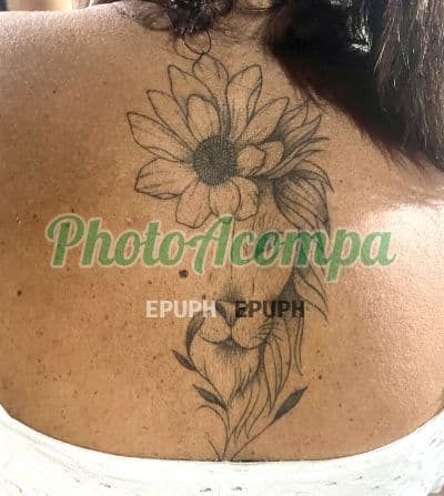 Acompanhante depilada em João Pessoa (3) — Danny Jampa