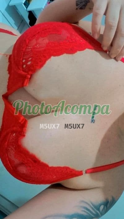 Acompanhante gordinha em Fortaleza, foto 3 de Eduarda