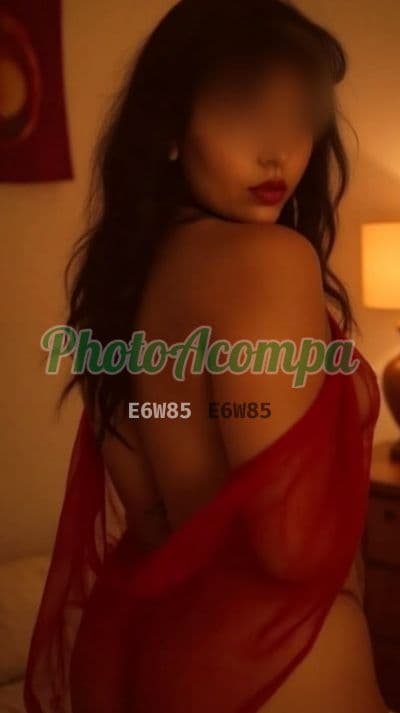 Acompanhante em Salvador com anal (6) — Felina