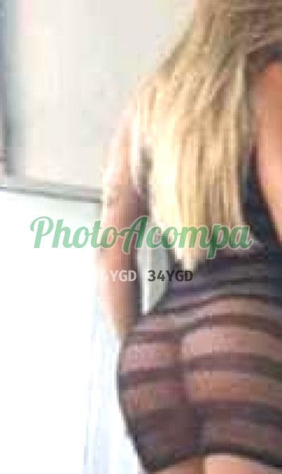 Acompanhante peituda em Aracaju — Gabi, foto 3