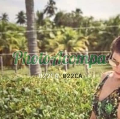 Acompanhante em Piracicaba — experiência de namorada, foto 2 de Gabi