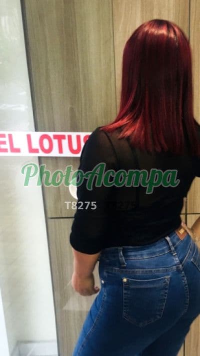 Acompanhante ruiva em Carapicuíba, foto 5 de Giovana