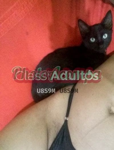 Acompanhante morena em Castanhal