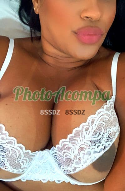 Acompanhante peituda em Belo Horizonte (3) — Isabella