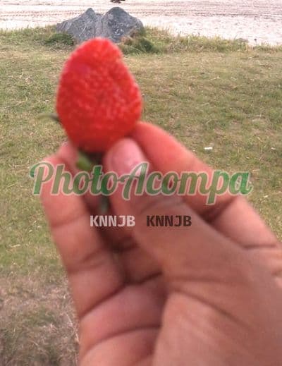 Acompanhante em Itanhaém — namoradinha, foto 4 de Juliete