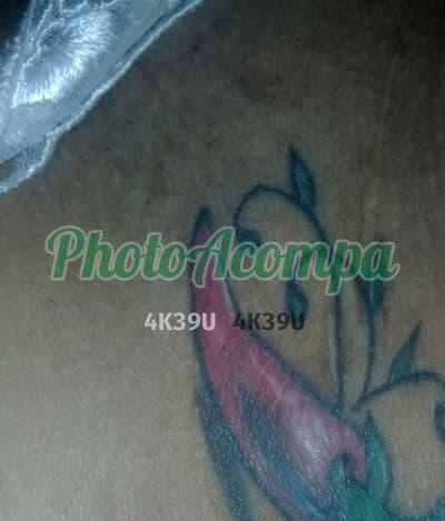 Acompanhante em Salvador — beijo na boca, foto 2 de Katriny