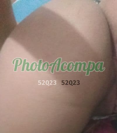 Acompanhante peituda em Taguatinga (4) — Lara