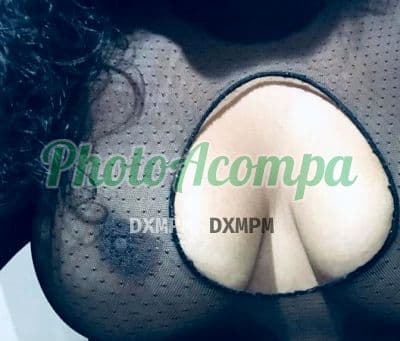 Acompanhante peituda em Santarém (3) — Lorena