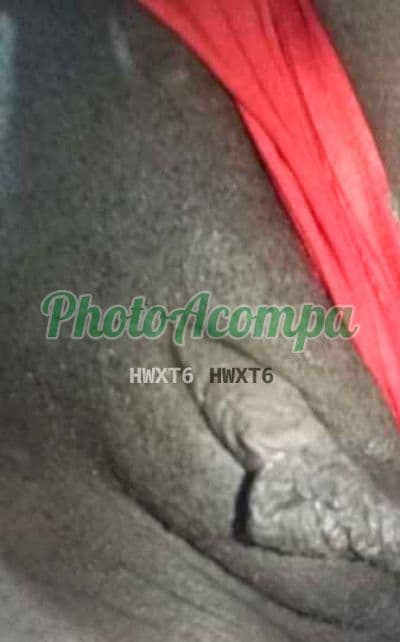 Acompanhante em Nova Iguaçu — experiência de namorada, foto 4 de Mary