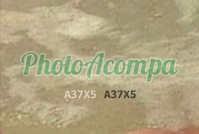 Acompanhante de seios naturais em Campinas (6) — Mis