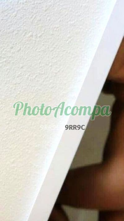Acompanhante em Goiânia com beijo na boca (2) — Nicole