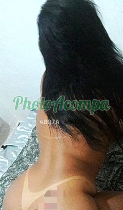 Acompanhante gordinha em Manaus (3) — Paloma