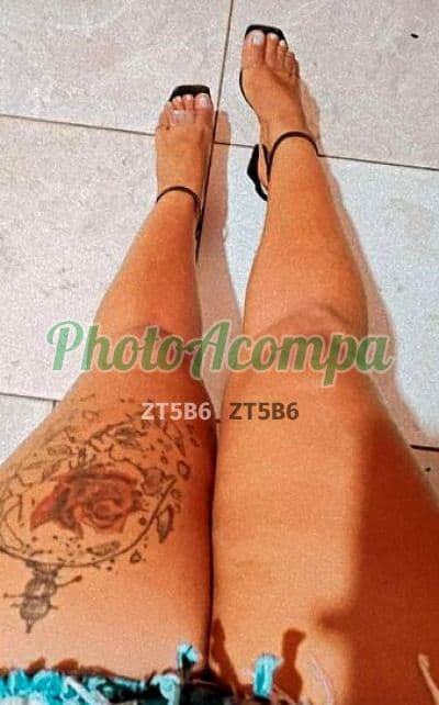 Acompanhante gordinha em Porto Velho (3) — Pamela
