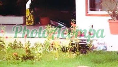 Acompanhante magra em Ribeirão Preto — Paola, foto 3