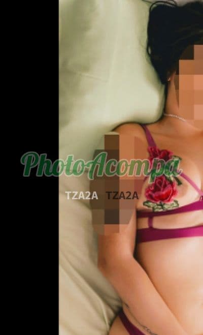 Acompanhante foto sem retoque em Santos, foto 5 de Paolla