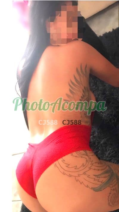 Acompanhante em Campinas com beijo grego (2) — Paty