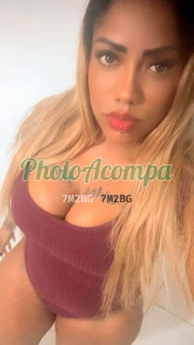 Foto 5: Acompanhante peituda em Bauru — Priscilla