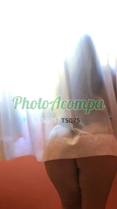 Acompanhante peituda em Salvador — Safira, foto 4