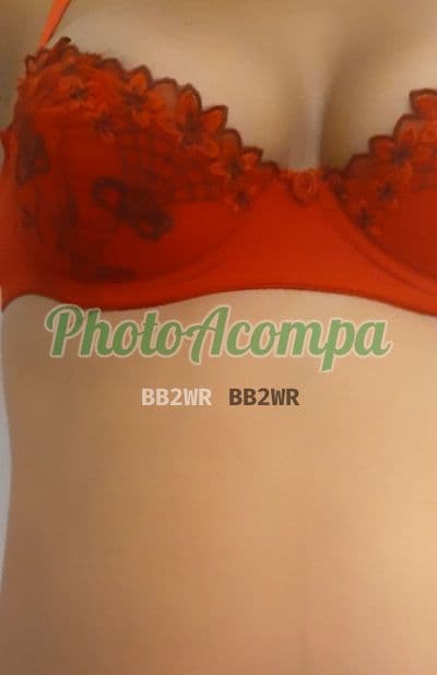 Acompanhante morena em Campo Grande (3) — Sara