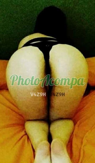 Acompanhante em Curitiba — namoradinha, foto 4 de Sheyla Lins