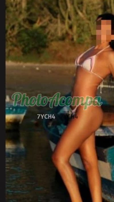 Foto 3: Acompanhante foto verificada em Balneário Camboriú — Sofia
