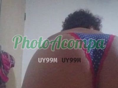 Foto 5: Acompanhante de seios naturais em Campinas — Sofia