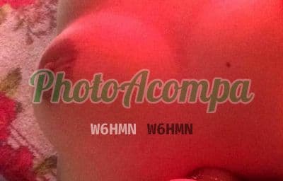 Acompanhante imagem autêntica em São Paulo — Sofie, foto 4