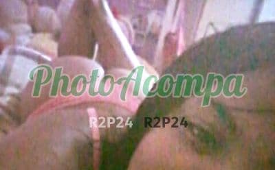 Foto 2: Acompanhante em São Paulo — beijo na boca, Suellen
