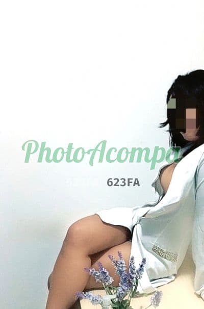 Acompanhante depilada em Campinas (3) — Taís