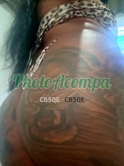 Acompanhante imagem autêntica em São Gonçalo, foto 4 de Tigreza