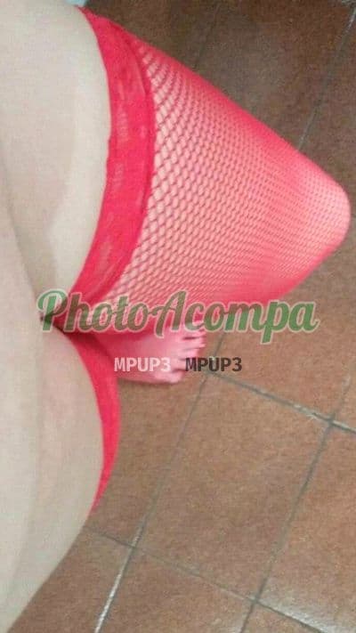 Acompanhante em São Paulo com anal (6) — Vanessa