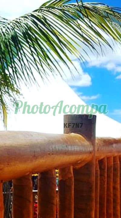 Acompanhante magra em São José dos Campos — Vitória, foto 5