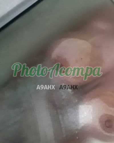 Acompanhante alta em Porto Alegre, foto 6 de Waleska