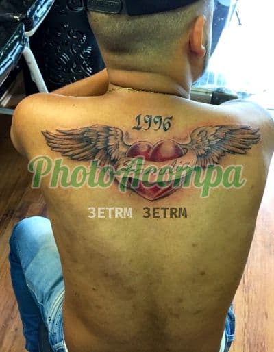 Acompanhante masculino em São Paulo — garganta profunda, foto 4 de Enzo Lobo