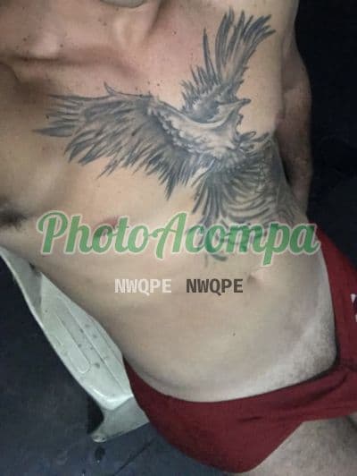 Acompanhante masculino em São Paulo — beijo grego, foto 4 de Gabriel