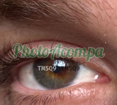 Acompanhante masculino foto real em Porto Alegre, foto 2 de Luiz