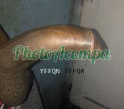 Acompanhante masculino foto real em São Vicente, foto 2 de Noa