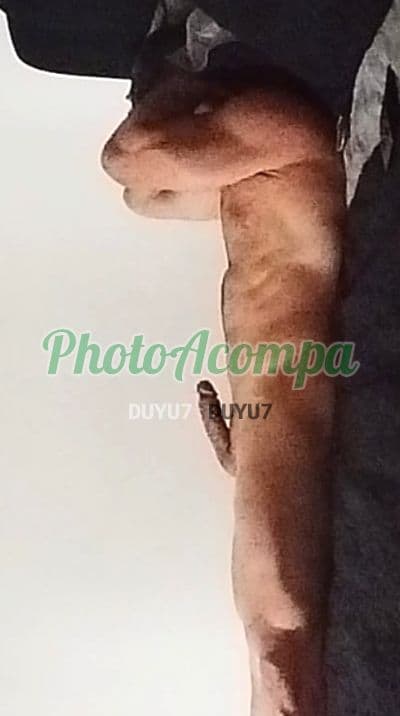 Acompanhante masculino imagem autêntica em Rio de Janeiro (4) — Ricardo