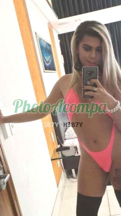 Travesti acompanhante foto verificada em Santos (3) — Alerquina