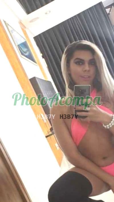 Travesti acompanhante imagem autêntica em Santos, foto 4 de Alerquina